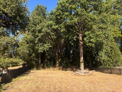 For sale Land SAINT-GILDAS-DE-RHUYS  56
