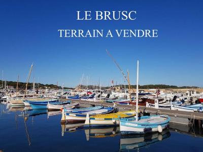 Vente Terrain SIX-FOURS-LES-PLAGES 83140
