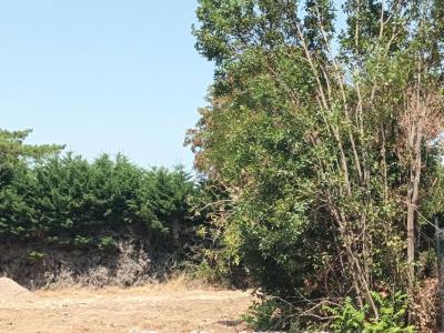 Vente Terrain NIEUL-SUR-MER  17