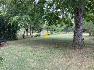 Vente Terrain AVORD 18520