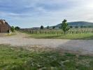 Annonce Vente Maison Hattstatt