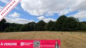 Vente Terrain Arnac-pompadour 19