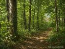 For sale Land Saint-just-en-chaussee  60130 7431 m2