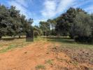 Annonce Vente Terrain Saint-siffret