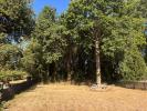 Land SAINT-GILDAS-DE-RHUYS 