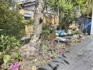 Acheter Maison Saint-georges-d'oleron Charente maritime