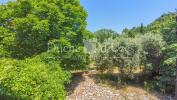 House UZES 