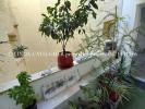 Acheter Appartement Pezenas 322000 euros