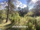 Annonce Vente Terrain Roque-d'antheron