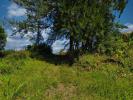 Land PETITE-ILE 