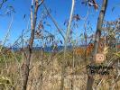 Acheter Terrain Bouillante Guadeloupe