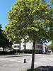 Location Appartement Hericourt  70400 3 pieces 66 m2
