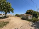 Annonce Vente Terrain Fare-les-oliviers