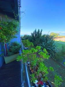 Vente Appartement GRAU-DU-ROI 30240