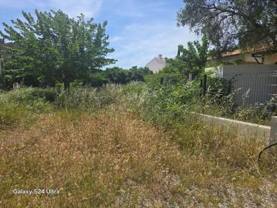 Vente Terrain FRONTIGNAN 34110