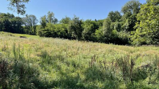 Vente Terrain THIERS LES GARNIERS 63