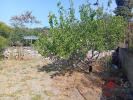 Acheter Terrain 260 m2 Bedarieux