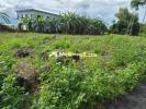 Annonce Vente Terrain Saint-benoit
