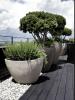 Vente Appartement 01