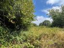 Annonce Vente Terrain Montboucher