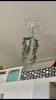 Louer Appartement Paris-8eme-arrondissement 900 euros