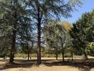 Prestigious house VERTEUIL-SUR-CHARENTE 
