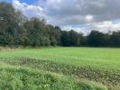 Annonce Vente Terrain Locronan