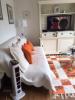 Annonce Location Appartement Bordeaux