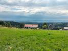 Annonce Vente Terrain 