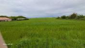 Acheter Terrain 1621 m2 Montreuil