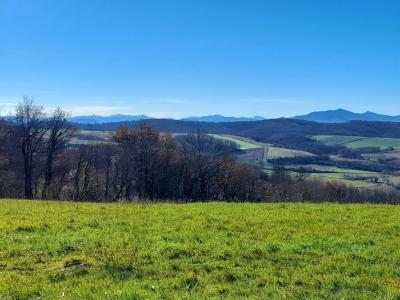 Vente Terrain BIDACHE 64520