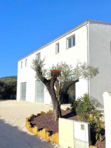 Location Commerce SOLLIES-PONT 83210