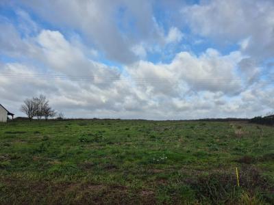 Vente Terrain CHATEAU-RENAULT 37110