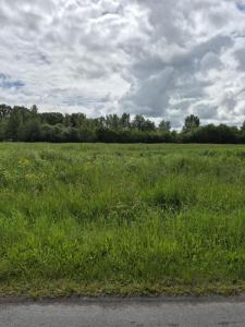 Vente Terrain MONTPON-MENESTEROL 24700