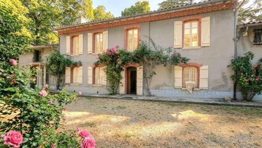 Vente Prestige CINTEGABELLE 31550