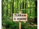 Vente Terrain Beganne 56