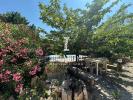 Annonce Vente Prestige Salon-de-provence