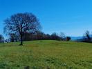 Acheter Terrain 30000 m2 Bidache