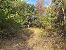 Acheter Terrain Neuillay-les-bois Indre