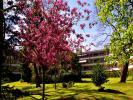 Apartment TASSIN-LA-DEMI-LUNE 