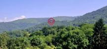 Annonce Vente 8 pi�ces Maison Ganac