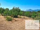 Annonce Vente Terrain Peri