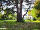 Acheter Maison 347 m2 Nogaro