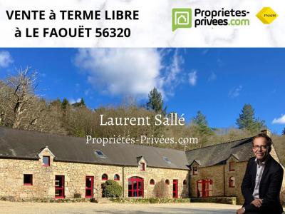 Viager Maison 26 pi�ces FAOUET 56320