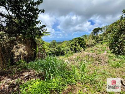 Vente Terrain SAINTE-LUCE 97228