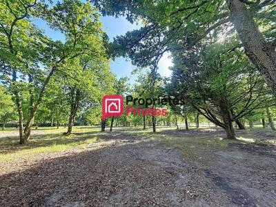 Vente Terrain HOURTIN 33990