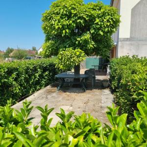 Vente Appartement CHALON-SUR-SAONE CENTRE VILLE 71