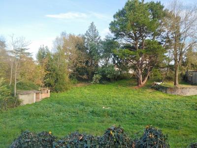 Vente Terrain CHAMPTOCEAUX 49270