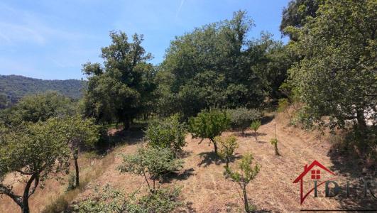 Vente Terrain COLLOBRIERES 83610