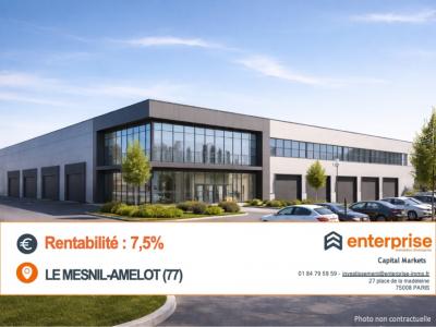 Vente Commerce MESNIL-AMELOT 77990
